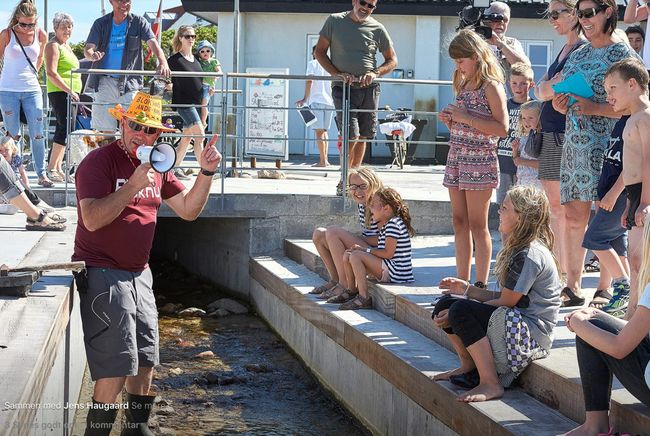 Anders Fiskerneshus 650x436